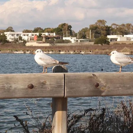 Apartment Mare Di Pazze